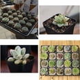 thumbnail image 5 of Decoración de interiores con material de alta calidad, macetas de plástico grueso para sembrar semillas, frutas, hierbas y verduras, promueve plantas más saludables a través de una construcción, 5 of 5