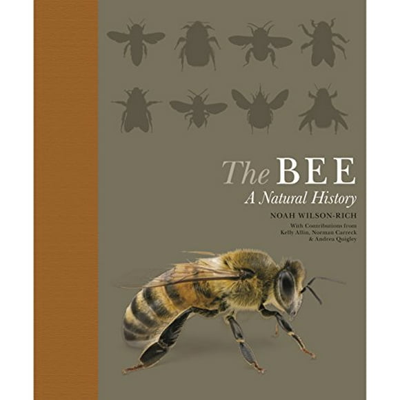 L'abeille, une Histoire Naturelle