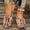 Saffron, variant on Willtoo Women's Boho Slip-On Loafers Comfortable Flat Shoes with Soft Rubber Sole for Casual Outdoor Wear