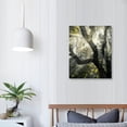 thumbnail image 4 of BCIIG Sunlight Through Branches Fine Art Aesthetic Poster & Print Wall Painting for Home Office Decor Pictures Wall Art Canvas Living Room Bedroom 12x16 in, 4 of 5