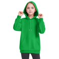 thumbnail image 6 of Grblisyd Girls Boys Hoodie Kids Fashion Casual Long Sleeve Solid Color Pullover Sweatshirt with Pocket 10-12Y, 6 of 6