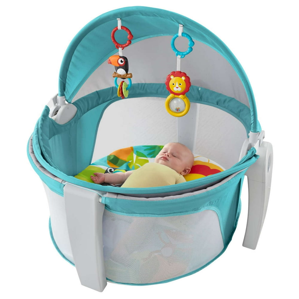 FisherPrice OnTheGo Baby Dome
