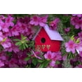 thumbnail image 2 of Rotenberg, Nancy 32x23 Black Ornate Wood Framed with Double Matting Museum Art Print Titled - Birdhouse and Azaleas in Garden, 2 of 4