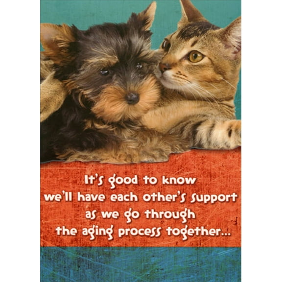 Designer Greetings Good to Know : Yorkshire Terrier and Cat Funny : Humorous Dog and Cat Birthday Card