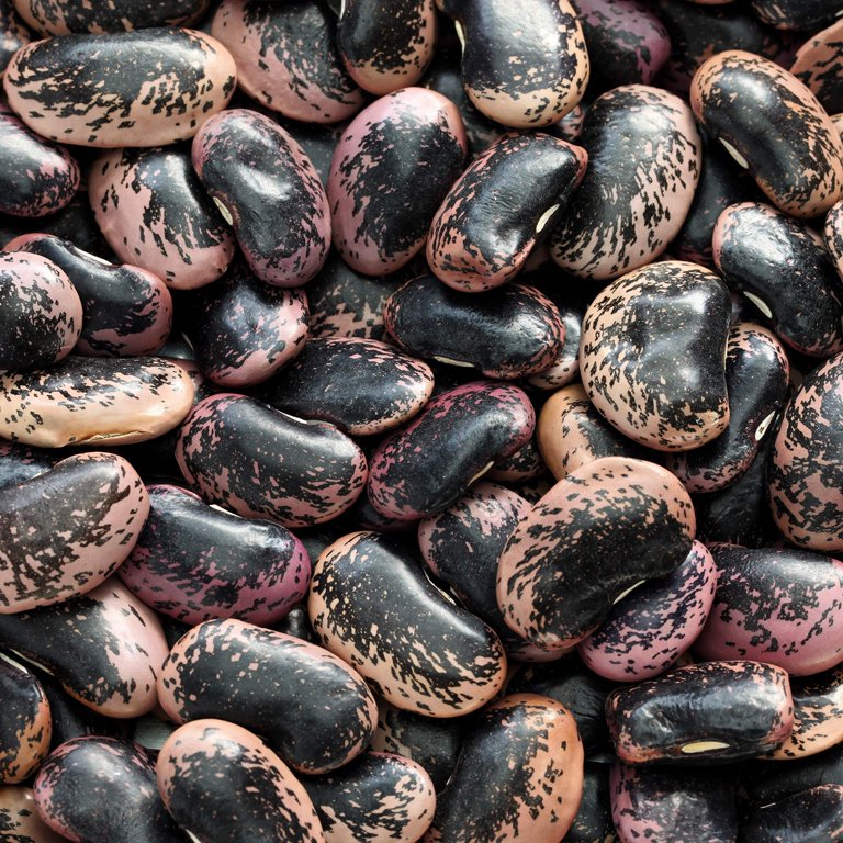 Light Red Kidney Beans (20+ Seeds)