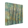 thumbnail image 2 of Trademark Fine Art 'Pastel Arbor I' Canvas Art by Jennifer Goldberger, 2 of 4