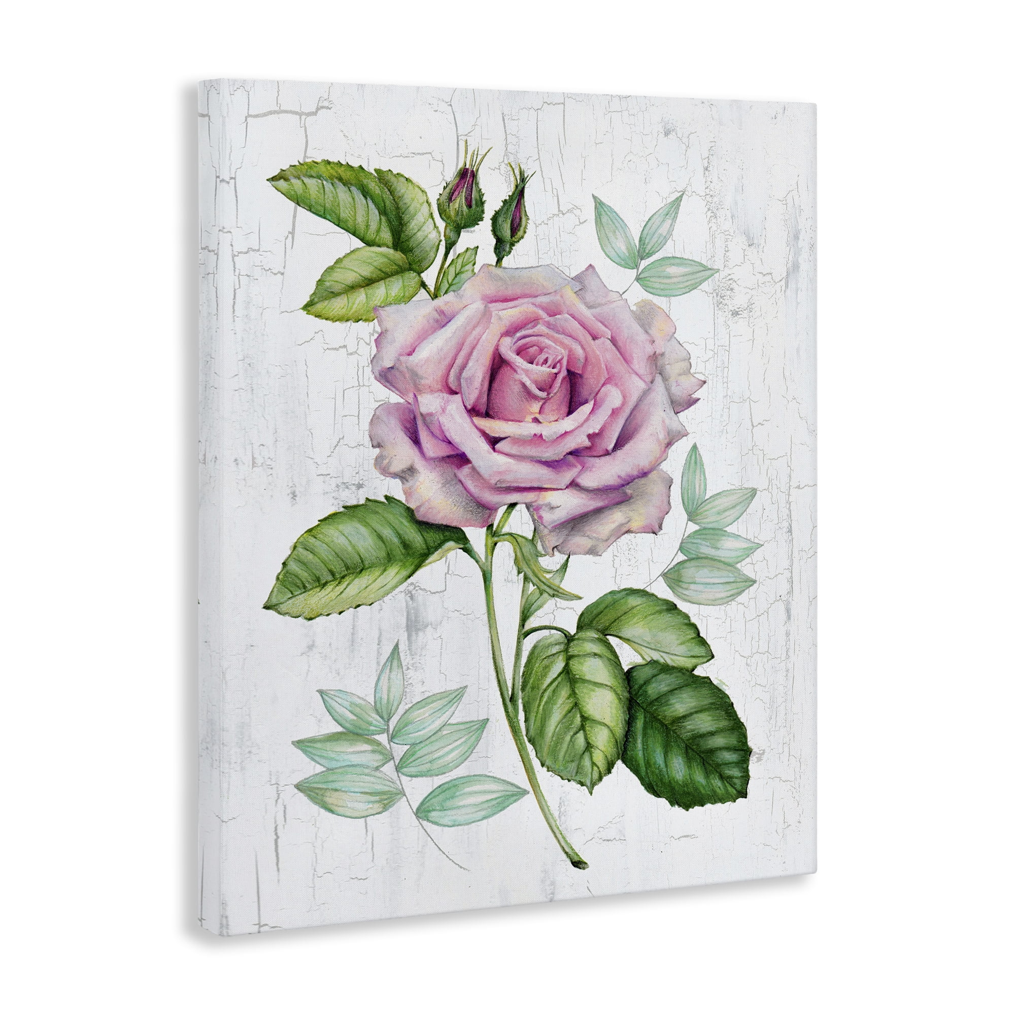Stupell Industries English Manor Rose Botanical & Floral Painting Gallery Wrapped Canvas Art Print Wall Art, 16 x 20