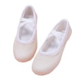 thumbnail image 3 of Elegant Light Purple Girls Dance Shoes Glitter Ballet Slippers Performance Practice Casual Clothes, 3 of 3