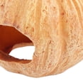 thumbnail image 3 of BESTYASH Adorno De Resina Calabaza Para Acuario Ideal Para Camarones Y Reptiles Pequeños, 3 of 6