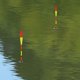 thumbnail image 1 of Boya luminosa Mordedura Gancho Pesca Flotabilidad Noche Accesorios Tackle (T5-09), 1 of 6