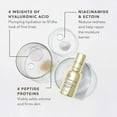 thumbnail image 4 of Dr. Dennis Gross Derminfusions Fill + Repair Serum - 1oz, 4 of 8