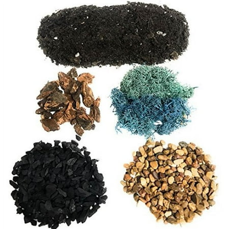 DIY Terrarium and Succulent Planter Kit | Includes Organic Soil Mix, Hoffman Charcoal, Orchid Bark, Decorative Gravel and Reindeer Moss (Small DIY Soil Kit)