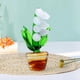 thumbnail image 4 of Decoración de escritorio de , bonsái artesanal, decoración del hogar de vidrio para oficina, jardín y hogar Soledad Estatua de plantas Bonsai, 4 of 6