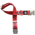 thumbnail image 1 of Collar Para Mascotas Premium Littlearth Tampa Bay Buccaneers Nfl, 1 of 4