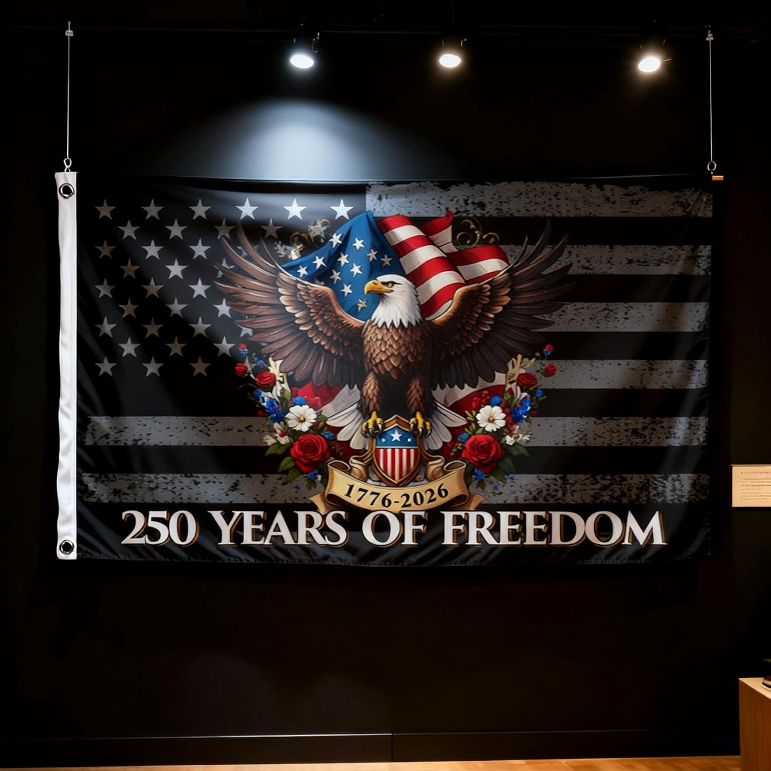 250th Anniversary Flag 3 x 5 Ft Eagle Outdoor Flag with Durable Canvas Header and Brass Grommets Decor for Outdoor Front Door Porch Wall (250 Years)