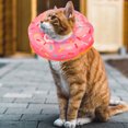 thumbnail image 3 of Collier Ajustable en Forme de Beignet Elizabeth pour Chat et Petit Chien, 3 of 8