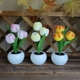 thumbnail image 6 of Bcylexb Tulip Flower Shaped 9" LED Table Lamp for Bedroom, Night Light and Home Decor Ornament, Small Table Decoration with Soft Glow, White, 6 of 6