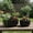 Black, variant on Lynn Ribbed Pedestal Planters (Set of 2)