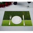 thumbnail image 1 of HATIART Green Grass Hedge Table Placemat Food Mat 12x18 Inch,Pack of 2, 1 of 2