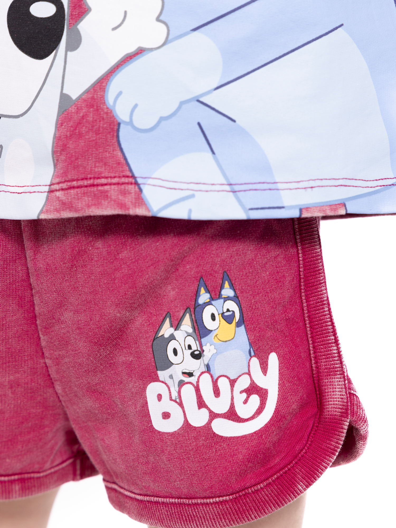 Bluey Toddler Girls Washed Crewneck Graphic Top and Shorts Set, 2-Piece, Sizes 12M-5T