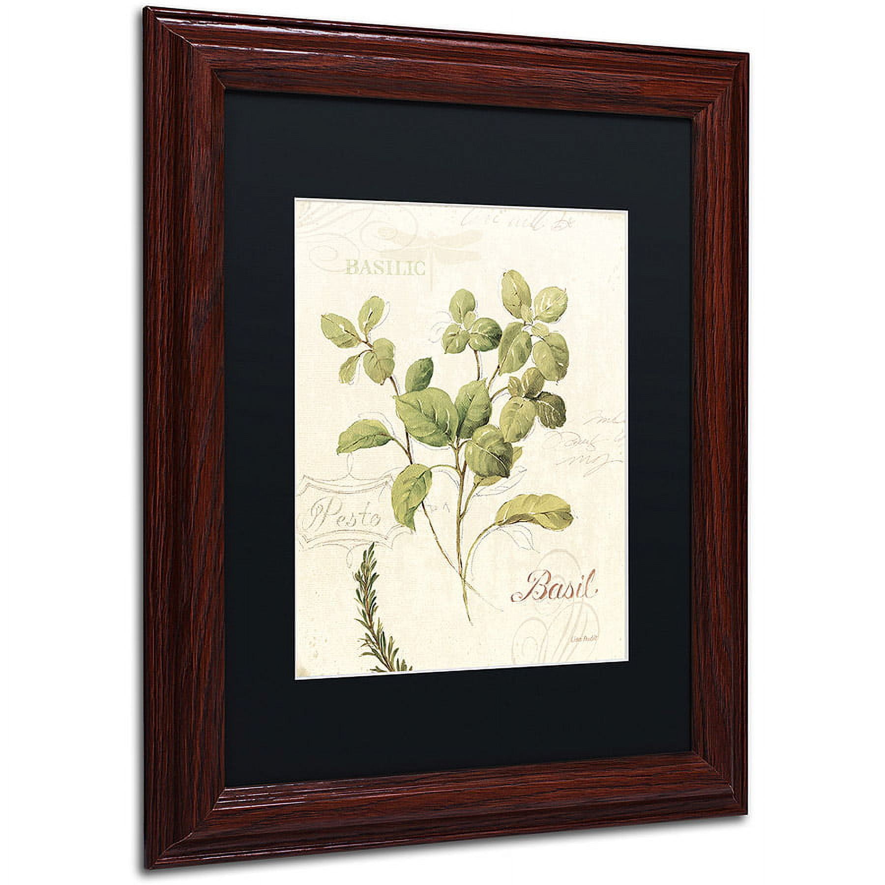 Trademark Fine Art "Aromantique III" Canvas Art by Lisa Audit, Black Matte, Wood Frame