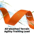 thumbnail image 5 of Downtown Pet Supply Long Lead Leash for Dog Training, Orange, 200' Dog Leash, 5 of 6