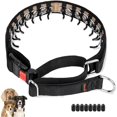 thumbnail image 1 of wonima02 Dog Collar, Patented Martingale No Pull Collar for Small Medium Large Dogs with Buckle for Walking Training, Hidden Design (Black, Large,2.5mm,25-Inch,18.5-23.5" Neck), 1 of 1