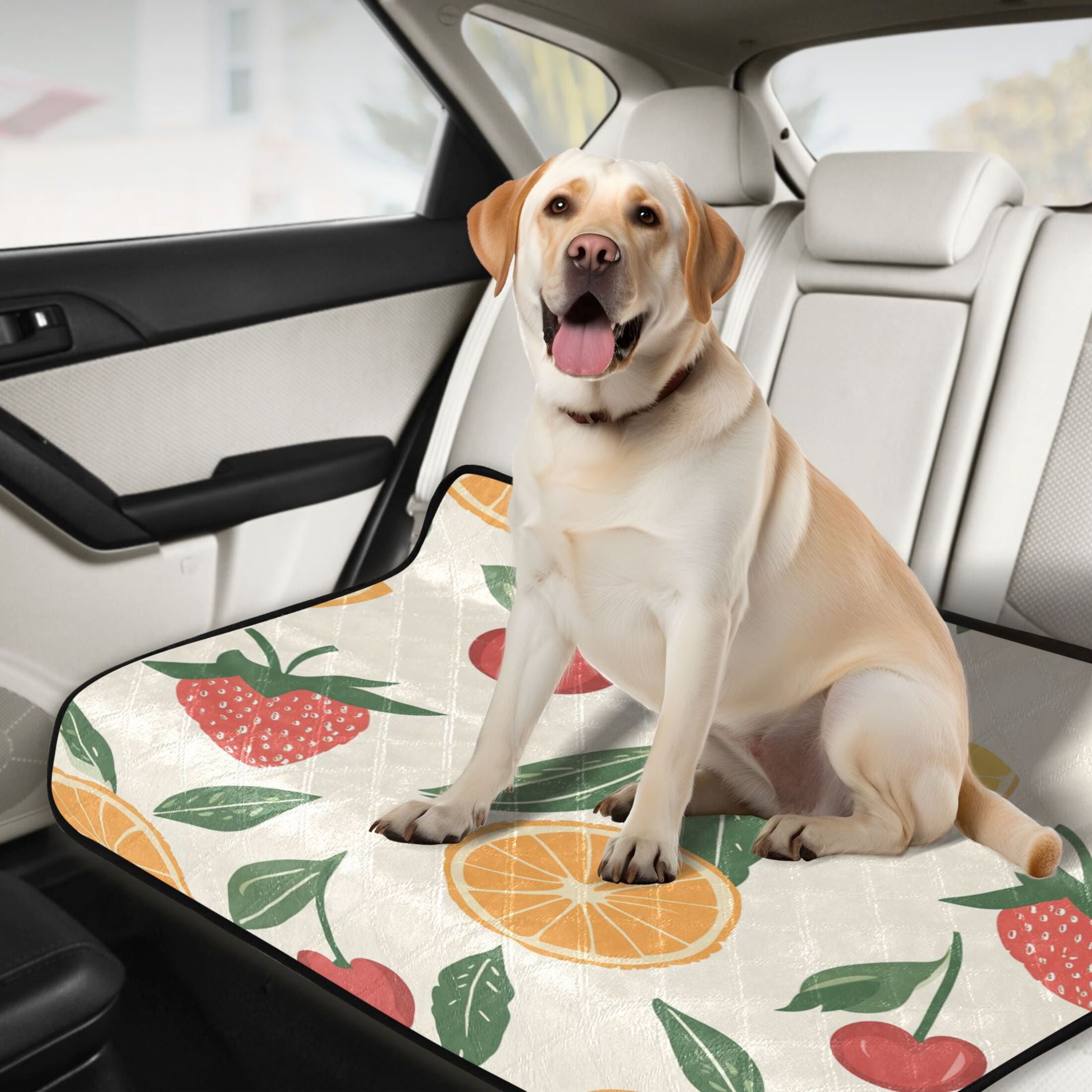 Qxltty Strawberries and Oranges on A Pastel Background Cat litter Pads Pet Set of 3 Diaper Mats Center Anti-leakage Layer Absorbent Soft and Comfortable