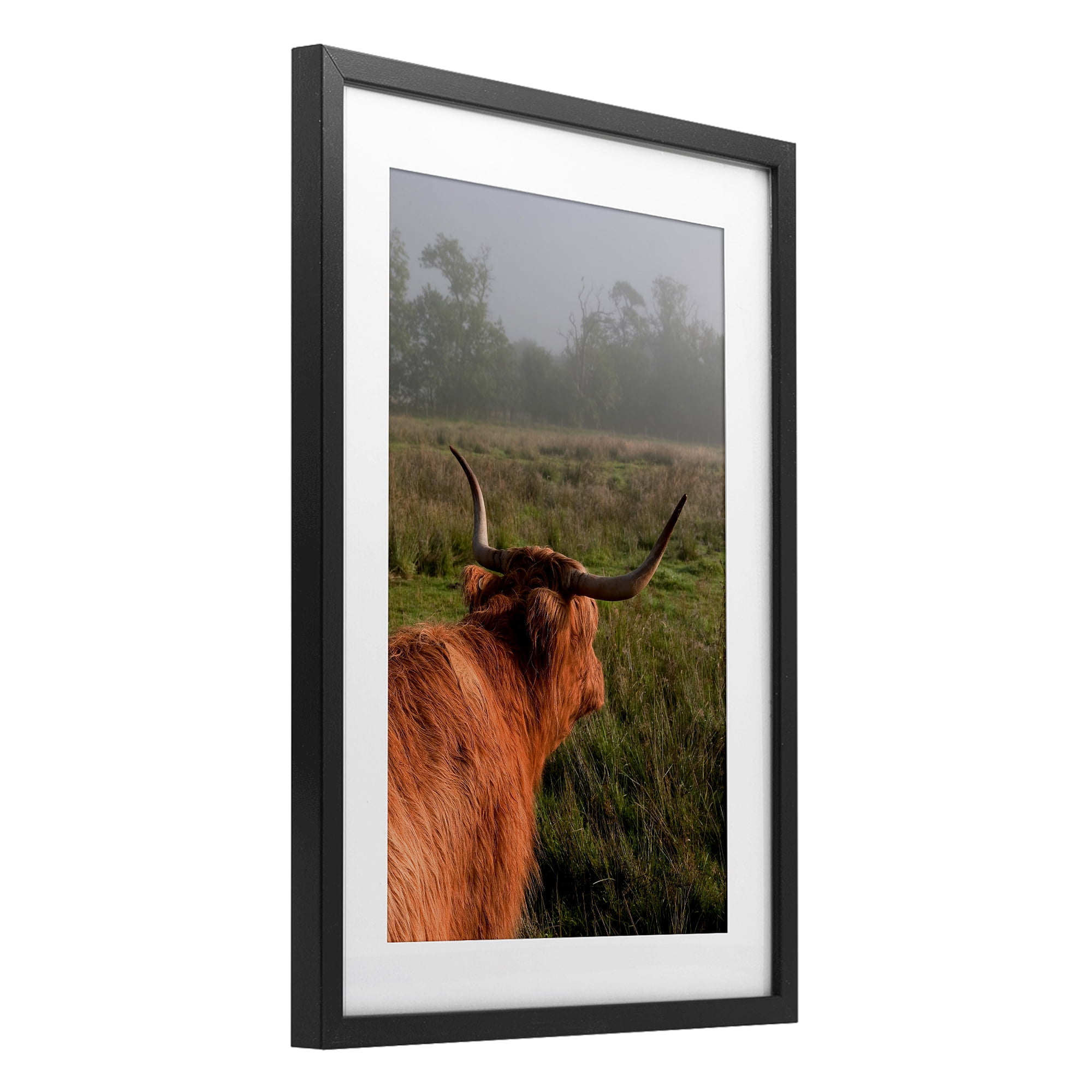 Highland Cow Gazing Out Black Framed Print Under Glass, design by Jenny Rainbow Fine Art