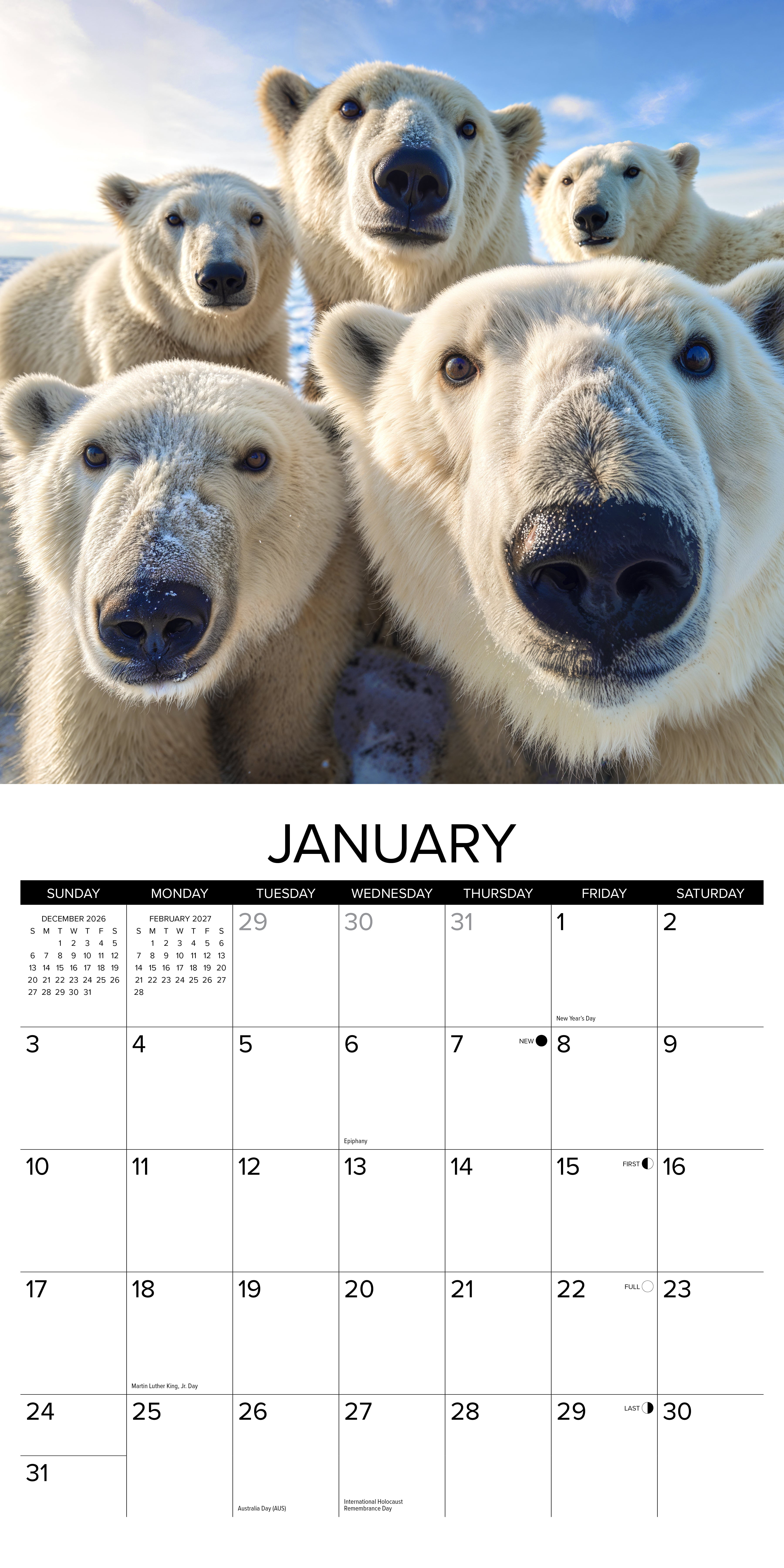 Willow Creek Press, Animal Selfies 2027 Wall Calendar