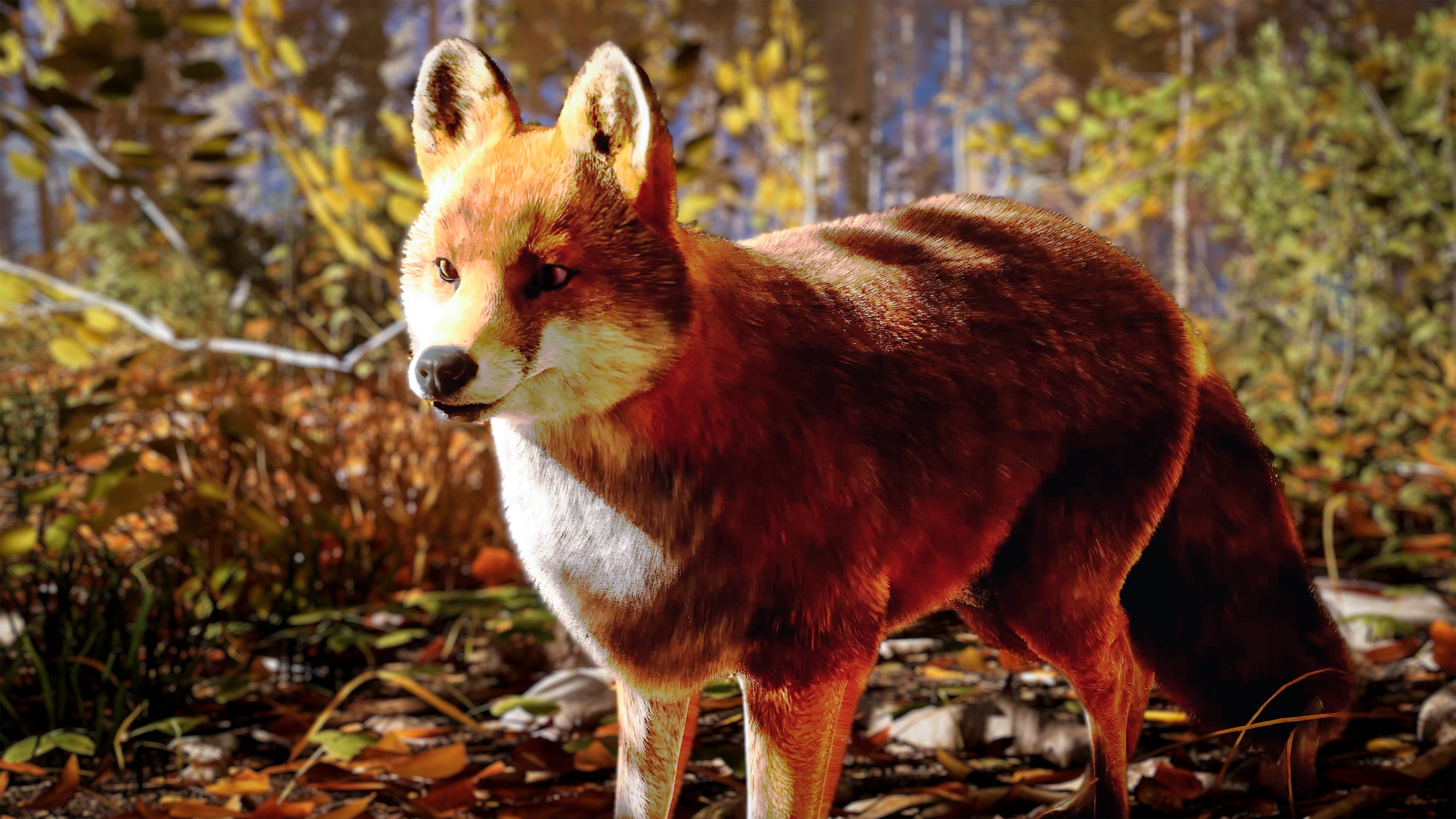 Hunting Simulator 3 – Xbox Series X