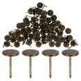 thumbnail image 4 of RENACLIPY Dark Brown Flat Head Aesthetic Thumb Tacks 100pcs Heavy Duty for Home Office Use, 4 of 6