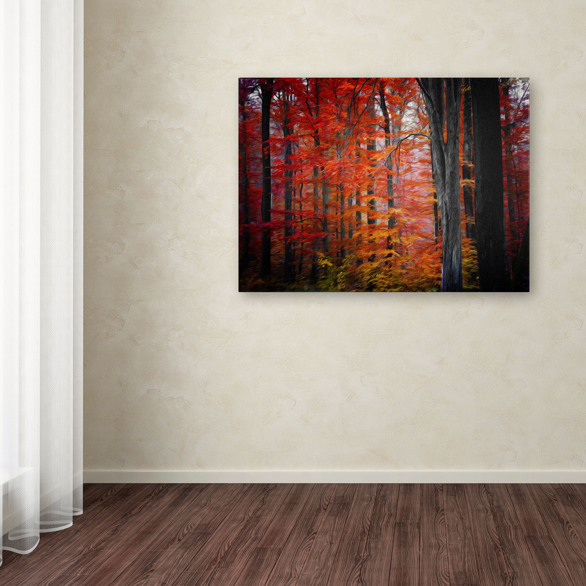 Trademark Fine Art "No Particular Title" Canvas Art by Philippe Sainte-Laudy