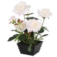 thumbnail image 1 of Flores de rosas blancas National Tree Company en macetas de 11', 1 of 1