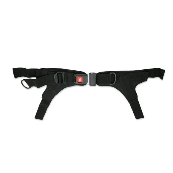 Ceinture de Positionnement Rembourrée à 4 Points - Boucle Automatique