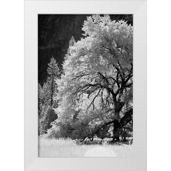 Jones, Adam 11x14 White Modern Wood Framed Museum Art Print Titled - Yosemite Valley in infrared black and white-Yosemite National Park-California