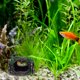 thumbnail image 4 of unbranded Utensilio Acuario Refugio Barril De Resina Para Camarones Y Peces Betta, 4 of 6