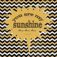 thumbnail image 2 of Marrott, Stephanie 20x20 White Modern Wood Framed Museum Art Print Titled - Sunshine, 2 of 4