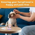 thumbnail image 5 of Petglow Dog Ear Cleaner Solution for Ear Infection, Yeast, Wax & Debris, Lavender 4 fl Oz, 5 of 7