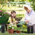 thumbnail image 2 of 50 bolsas de plástico para vivero, bolsas de cultivo de flores de frutas, contenedores de plantas cuadrados altos, macetas de inicio de flores, maceteros suculentos con agujeros de drenaje para jardín, 2 of 5