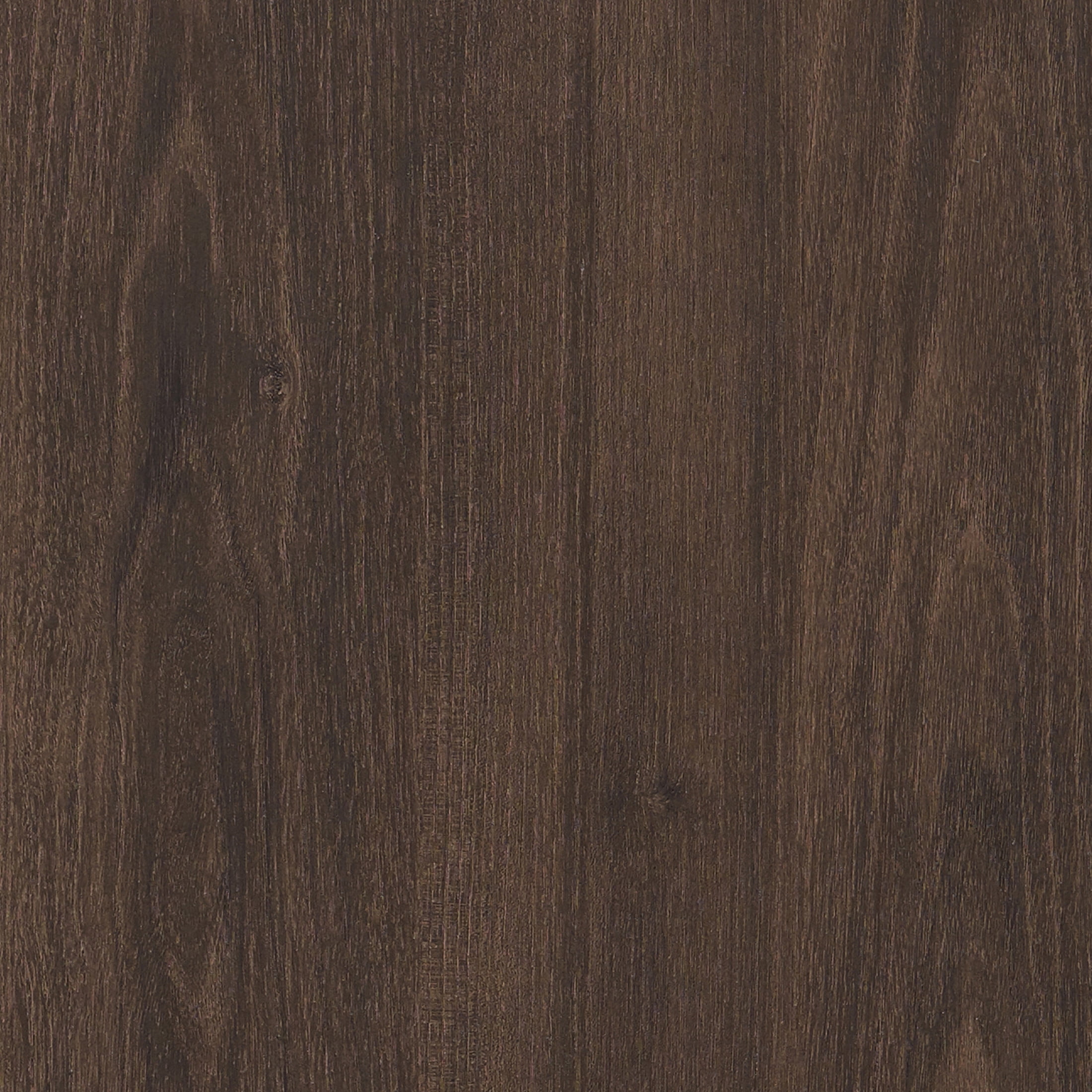 Evelyn&Zoe Modern/Contemporary 32" Wide Alder Brown Accent Cabinet
