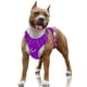 thumbnail image 1 of Arnés para perros BARKBAY, reflectante, sin tirones, con clip frontal, color morado L, 1 of 9