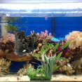 thumbnail image 2 of Adorno para acuario, de , , terrario, hábitat, decoración DIY, casa cueva 4 Gloria Adorno para pecera de acuario, 2 of 9