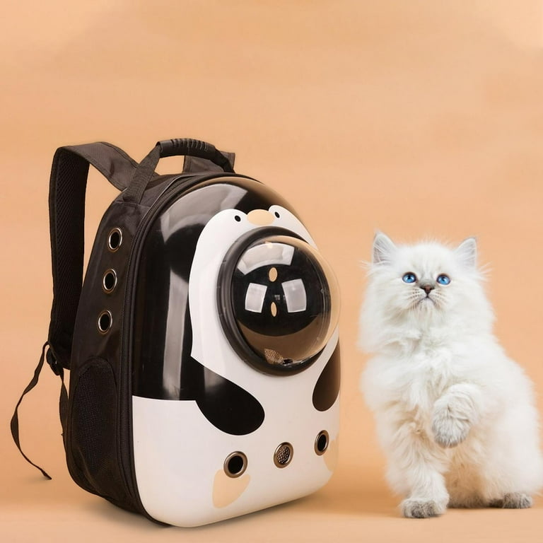 Kitten bag sale