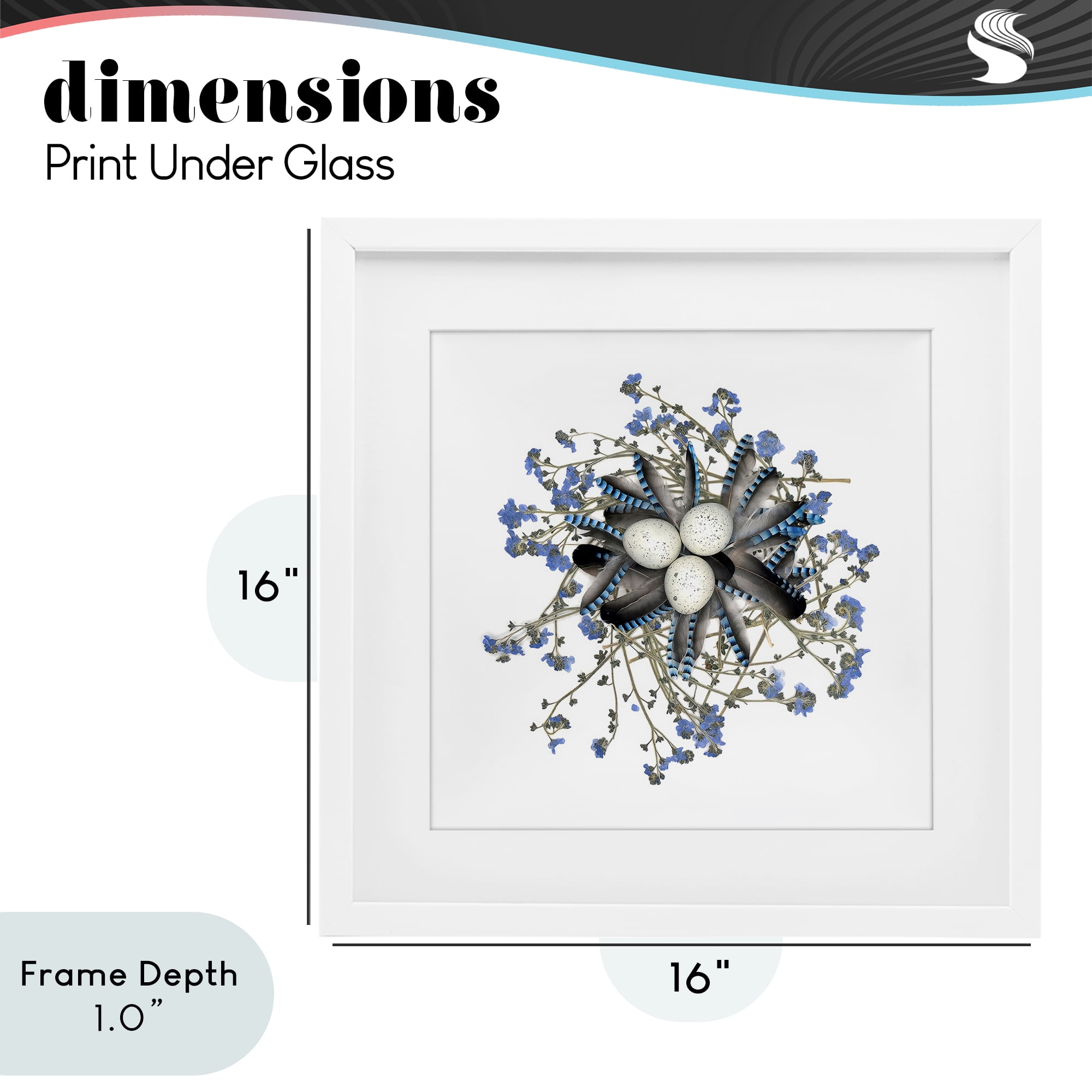Stupell Industries Feathered Nest & Blue Florals White Framed Print Under Glass, design by Beth Adoette