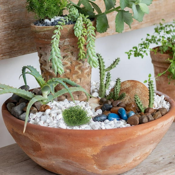 IDEANATEGRATE 10Pcs Grass Tufts for Enhancement Model Scenery Creation 3.5X3.5X1.5In