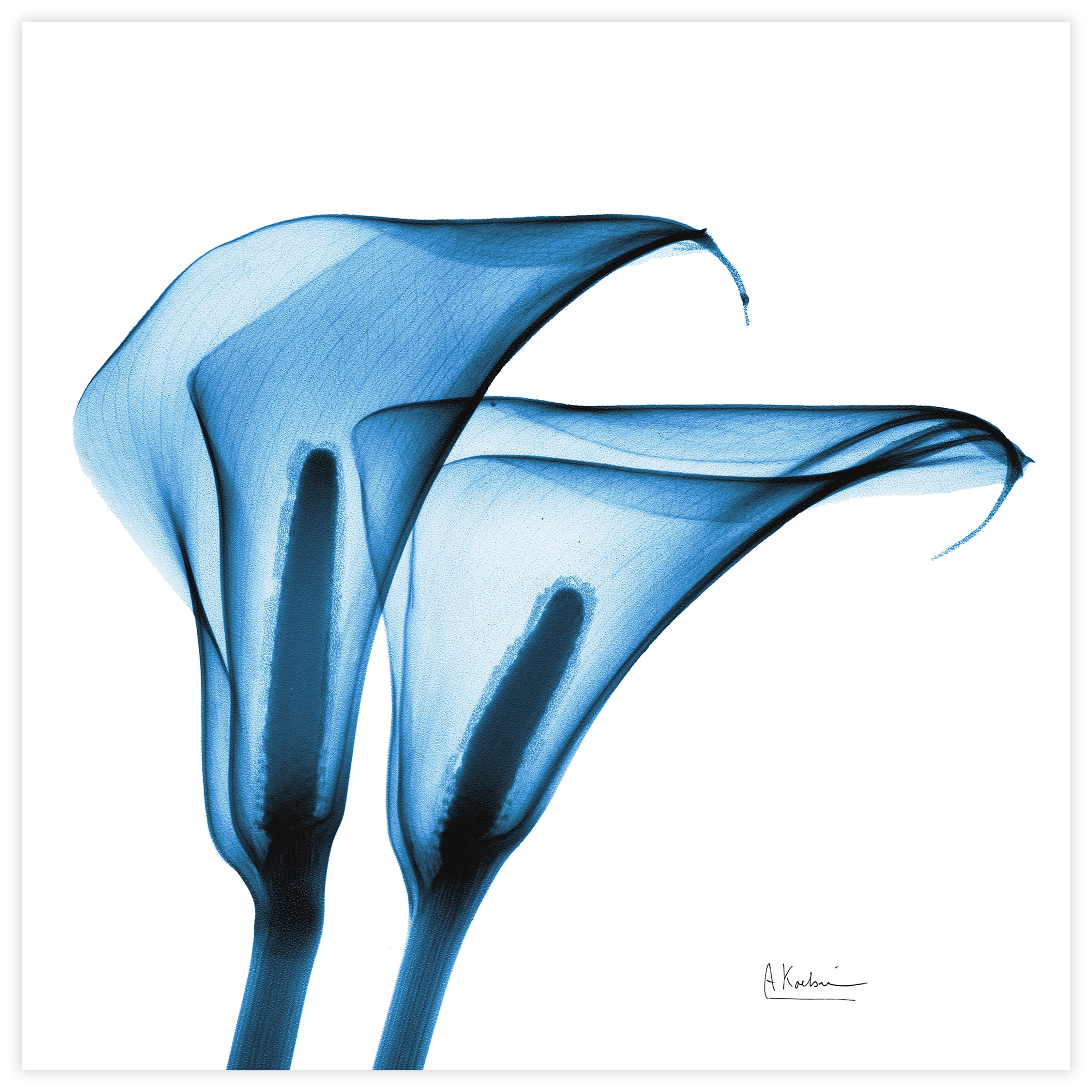 Flower 24 in x 24 in Painting Art Prints, by Empire Art
