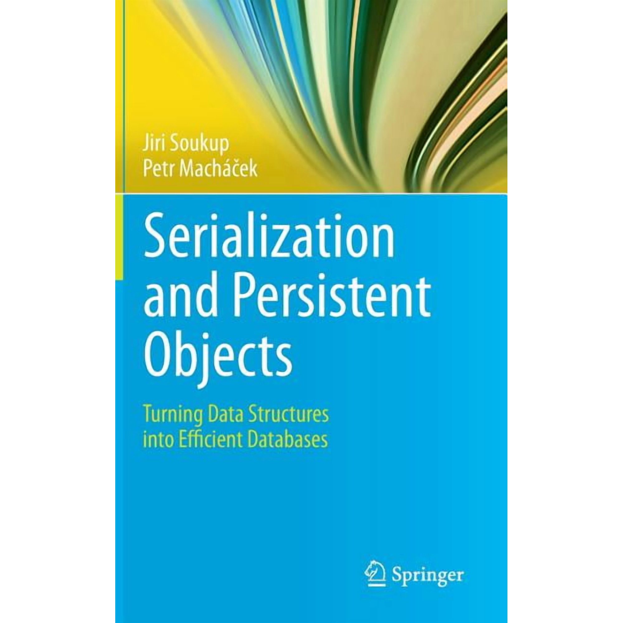 Serialization and Persistent Objects: Turning Data Structures Into Efficient Databases (Hardcover)