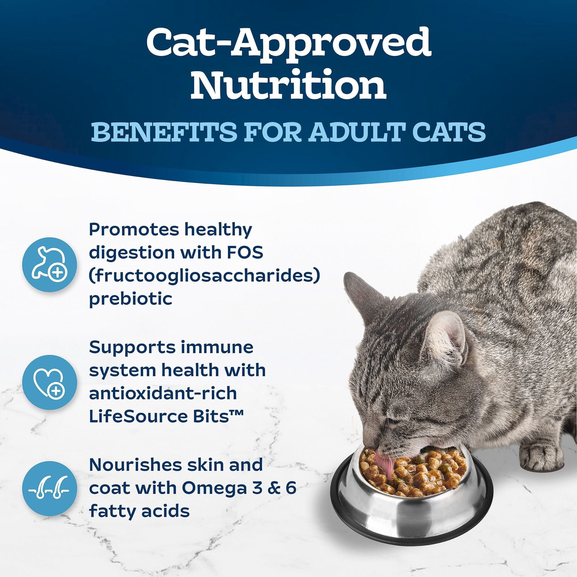 Blue Buffalo Tastefuls Irresistible Gravy Experience Adult Indoor Cat Dry Food, Chicken & Brown Rice Recipe, 10-lb. Bag