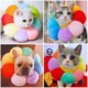 thumbnail image 4 of Collar, Cat Recovery Collar Adjustable Protective Collar Soft Edge Breathable Designed Pet Protective Collar, Colorful Sun Flower, M, 4 of 5